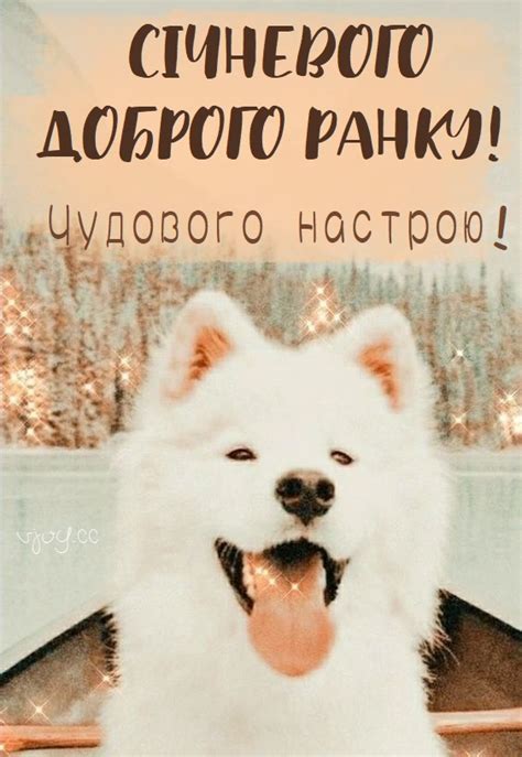 Красиві картинки - Добрий ранок січня! (41 фото)