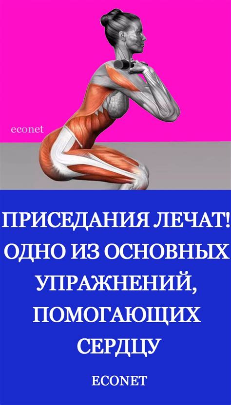 Приседания лечат! Одно из основных упражнений, помогающих сердцу ...
