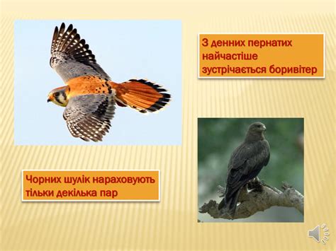 Віртуальна екскурсія "Дивовижна Хортиця"