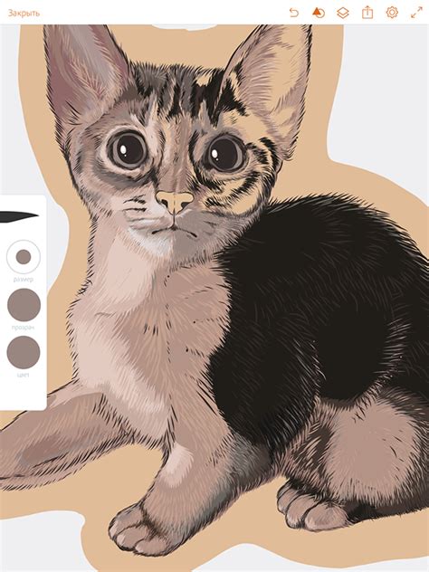 Котенок on Behance