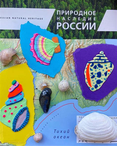 Пластилин. Морские ракушки - Онлайн-курсы Lil School
