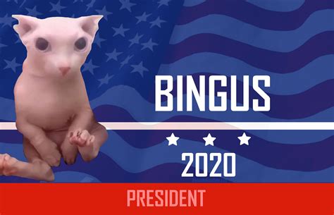 Bingus has my vote. This took like 30 minutes to photoshop lol : r/bingus
