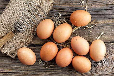 egg sack stock  pictures royalty  images istock