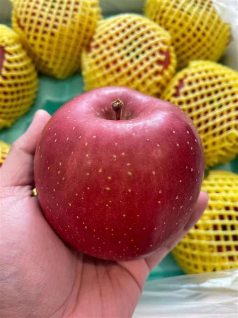 Fuji Apple Varieties