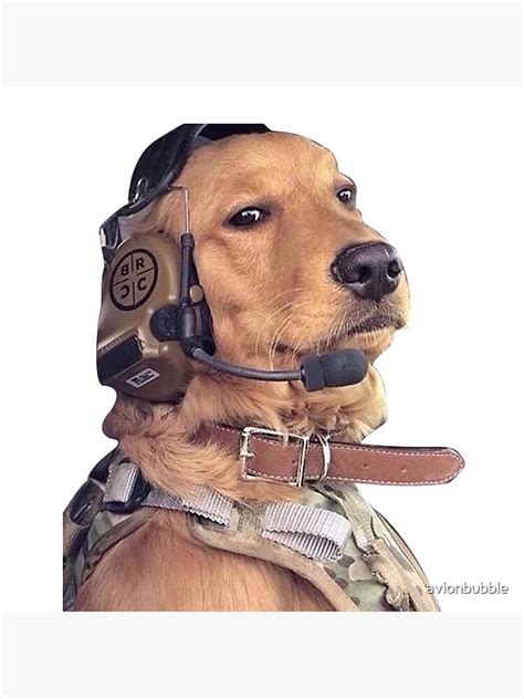 "Funny Aviation Dog Pilot Meme" Poster for Sale by avionbubble | Redbubble