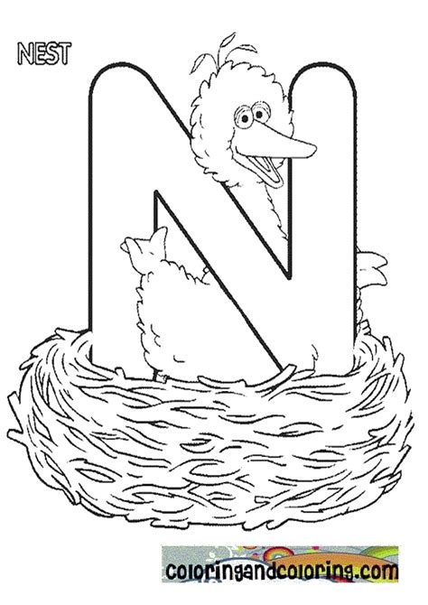 Letter N Coloring Pages Preschool - Coloring Home