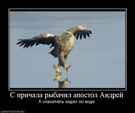 Прикольные картинки про Андрея (70+ фото) • Позитивные картинки