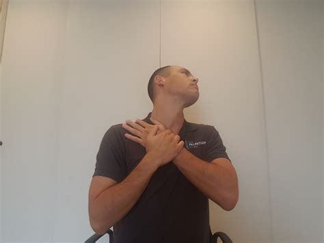 5 Neck Stretches For The Office Worker - Geelong Myotherapy