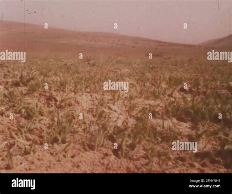 farmer ploughing field stock  footage hd   video clips