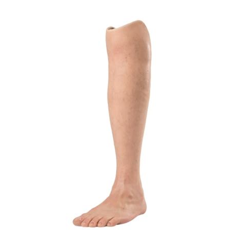 meaning  symbolism   word leg