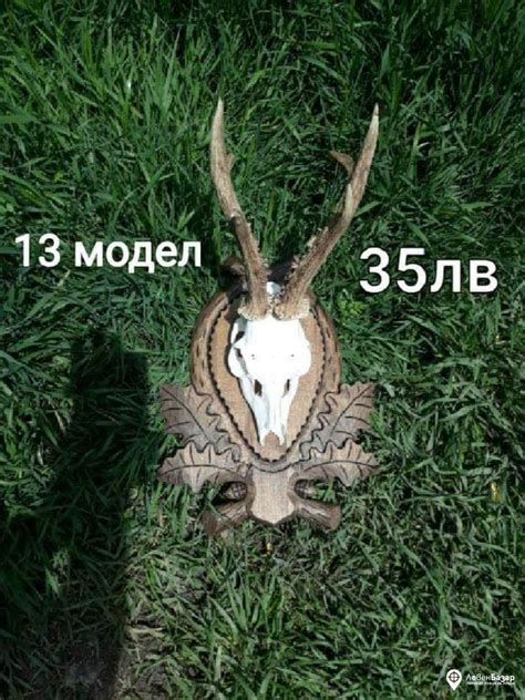 Начало - Обяви от ловци за ловци