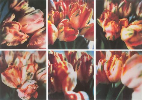 CY TWOMBLY Photographs | Matthew Marks Gallery