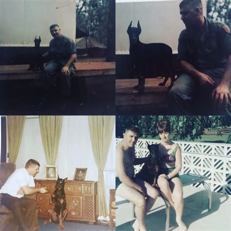 662 best Vietnam 1968 images on Pholder | Old School Cool, Military