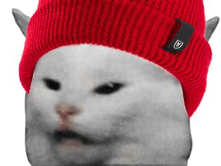 sticker de jaune sur chat bonnet meme cat