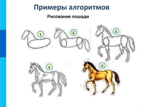 Алгоритмы и исполнители. Основы алгоритмизации - online presentation