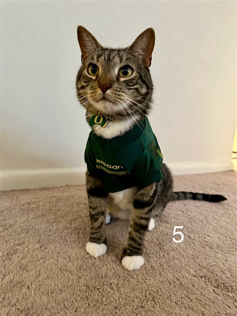 Franklin Residences | Philadelphia PA