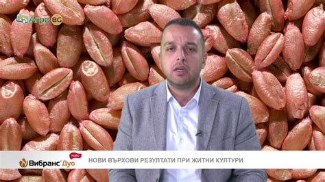 Вибранс Дуо – иновацията на Синджента в обеззаразяването на семена от ...