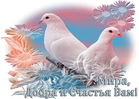 Мира, счастья и добра Вам | открытки | Счастье, Христианские цитаты и ...