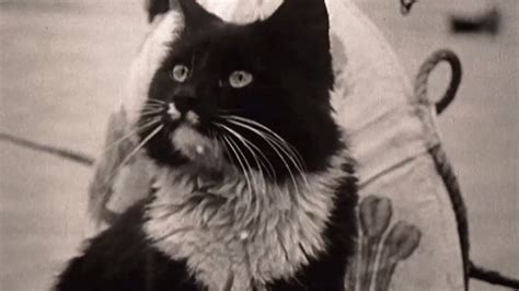 Churchill and the Movie Mogul (2019) - Cinema Cats