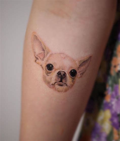 15 Chihuahua Tattoo Ideas - BuzzSharer.com