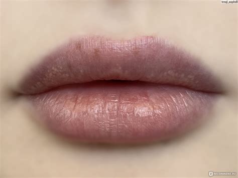 Бальзам-блеск для губ ArtDeco COLOR BOOSTER LIP BALM - «👄 💄 Бальзам для ...