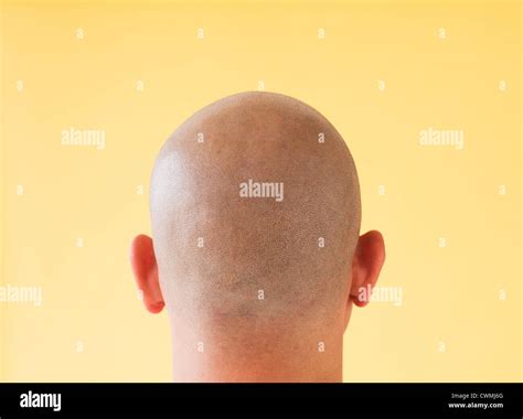 studio shot  mans shaved head stock photo alamy