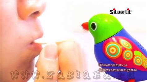 Интерактивная игрушка Поющая птичка DigiBirds - YouTube