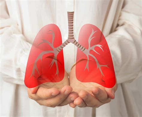 What Lung Diseases Can You Get From Smoking at Ken Hertel blog