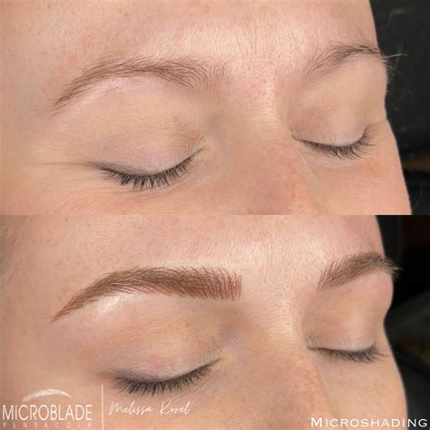 blog-microblade pensacola