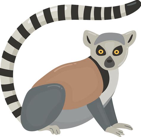 Ring-tailed lemur - Free vector clipart images on creazilla.com