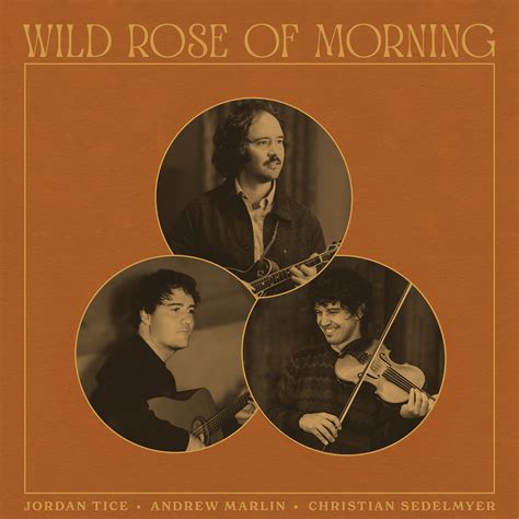 Wild Rose of Morning | Jordan Tice, Andrew Marlin, Christian Sedelmyer ...