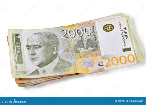 Serbiska dinar sedlar fotografering för bildbyråer. Bild av plant ...