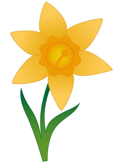 Vetorizando No Illustrator