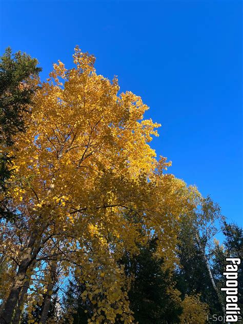 I-sophie Nude OnlyFans Leaks - Photo #3531550 - Fapopedia