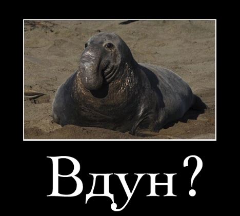 С Днем Рождения ждун картинки