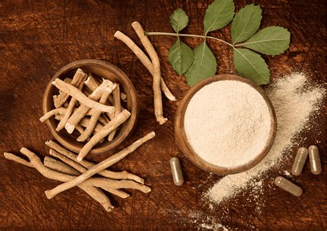Ashwagandha, quels sont les bienfaits ? - AnotherTree