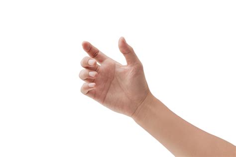 hand plastic surgery   scheme jaipur apollo spectra