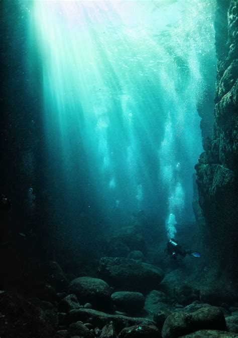 Capturing the Magic of Our Underwater World - VICE