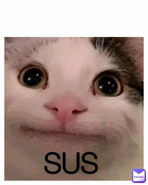 spongebob tamplete  memre memes
