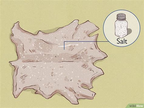 How to Tan a Hide: 2 Foolproof Methods