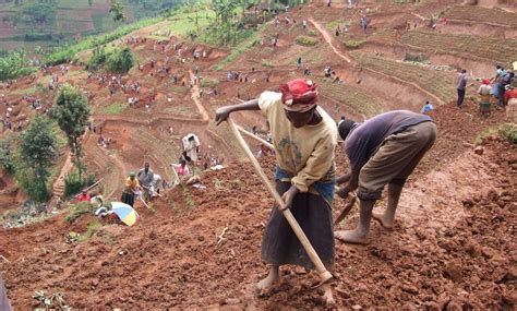 poor soil promotes food insecurity  issue  soil degradation