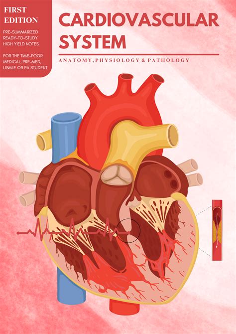 Cardiovascular System by Undefined Author online @ Artsum India