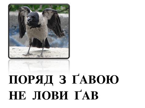 Навчання грамоти