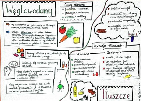 węglowodany i tłuszcze | High school life, Biology, Education