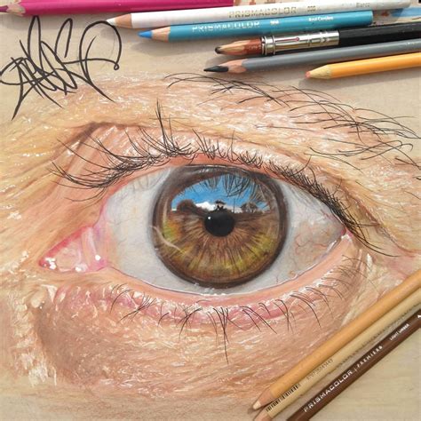 Get Inspired to Try Colored Pencils With Realistic Color Pencil Art ...