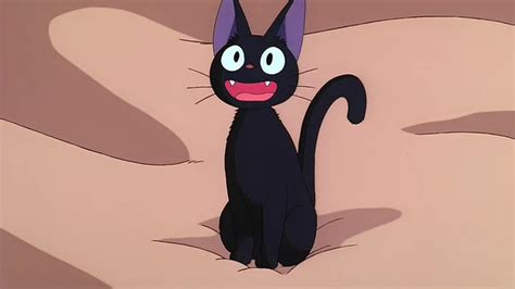 rainkittens assessment   studio ghibli enterprise  characters