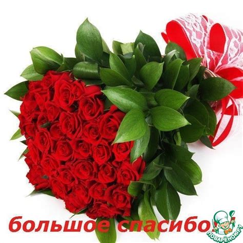 Огромное спасибо всем за поздравление с днем рождения!: Дневник ...