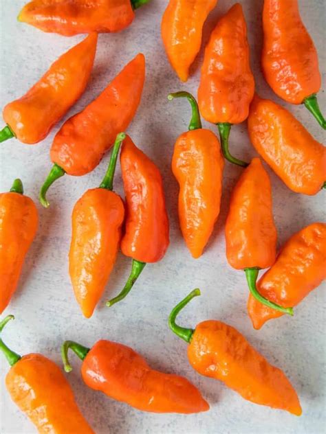 Ghost Pepper Recipes - Chili Pepper Madness
