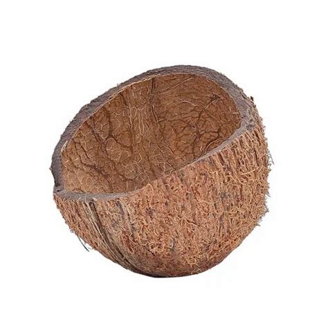 brown coconut shell  rs piece  kanyakumari id