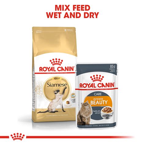 Buy Royal Canin Siamese Adult Dry Cat Food Online | Better Prices At ...